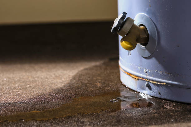 Best Emergency water extraction  in Hasbrouck Heights, NJ