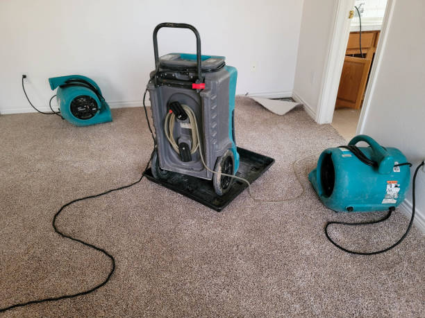 Best Flood restoration services  in Hasbrouck Heights, NJ