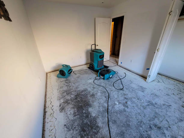 Best Flood damage cleanup  in Hasbrouck Heights, NJ