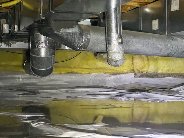 Best Carpet water damage restoration  in Hasbrouck Heights, NJ